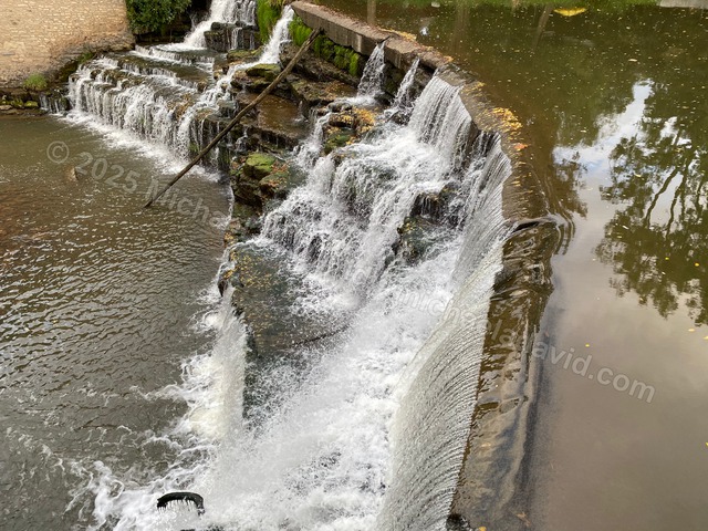 nature_2021-09-22 18.02.40-2021.jpg